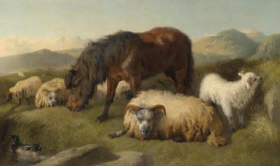 Chèvres, moutons et un poney - Richard Ansdell